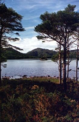 Eine Bootsfahrt ist bei sch&ouml;nem Wetter herrlich