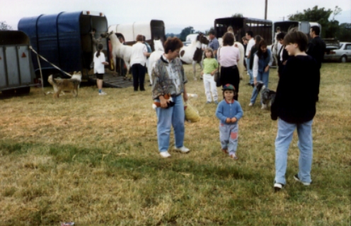 Pferde- und Eselmarkt in Killorglin. Leider haben wir kein Pferd f&uuml;r John-Frederic gekauft.